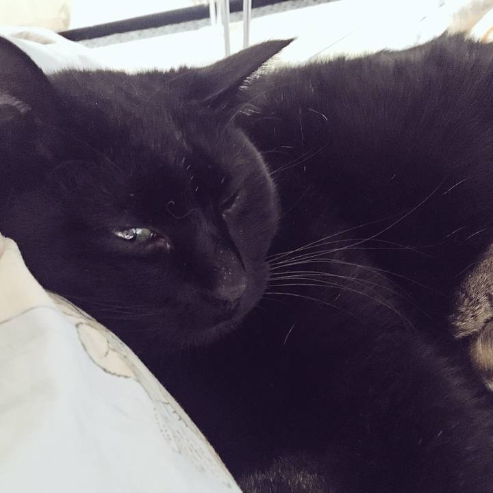 A7db9d77 3463 404f b9af 2f4d09425c62 1521717275958