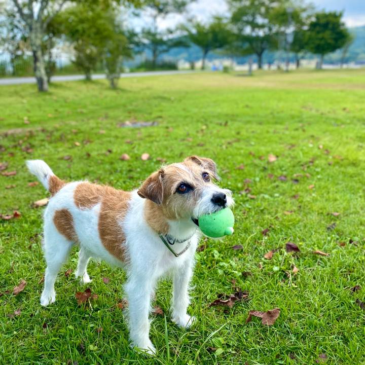 A7dbb296 6a5e 4fb1 8cf8 c28a9f75b068 1758653373824