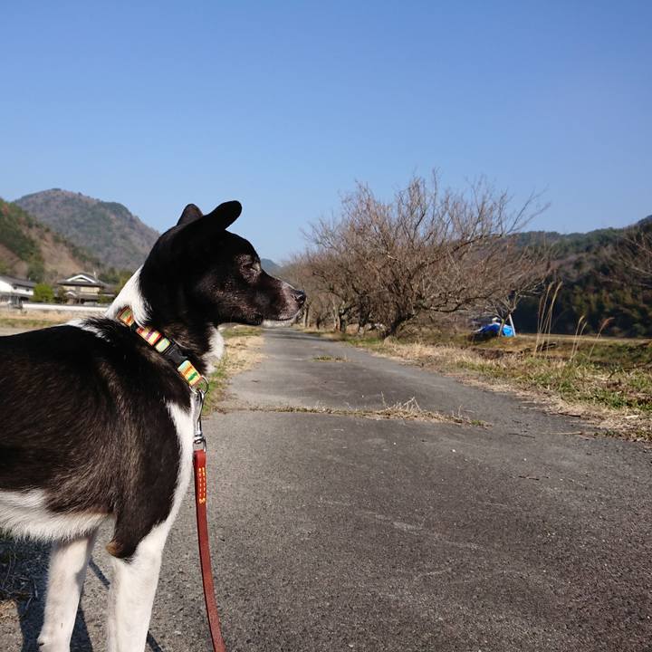 A7dbc17f d907 4e51 817c 750ab6cc8a96 1520899462526