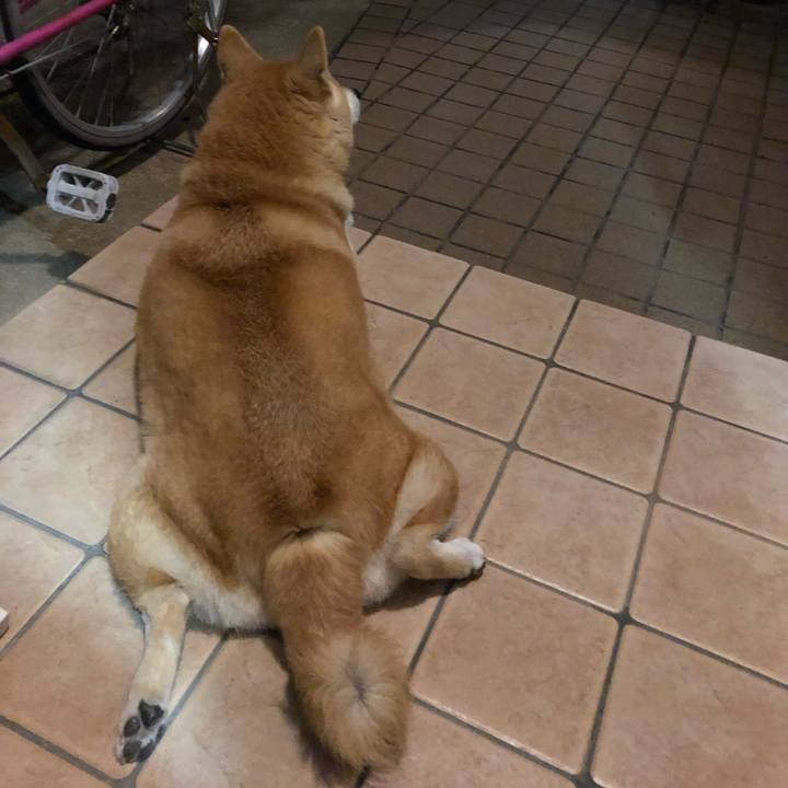 A7dc0959 f031 4f4e 9b4c bc1cec1abaa8 1570627054368