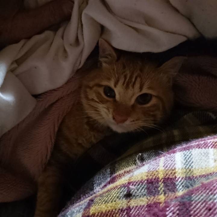 A7dc1673 0c4c 4c29 8927 e0230e37f812 1641934455043