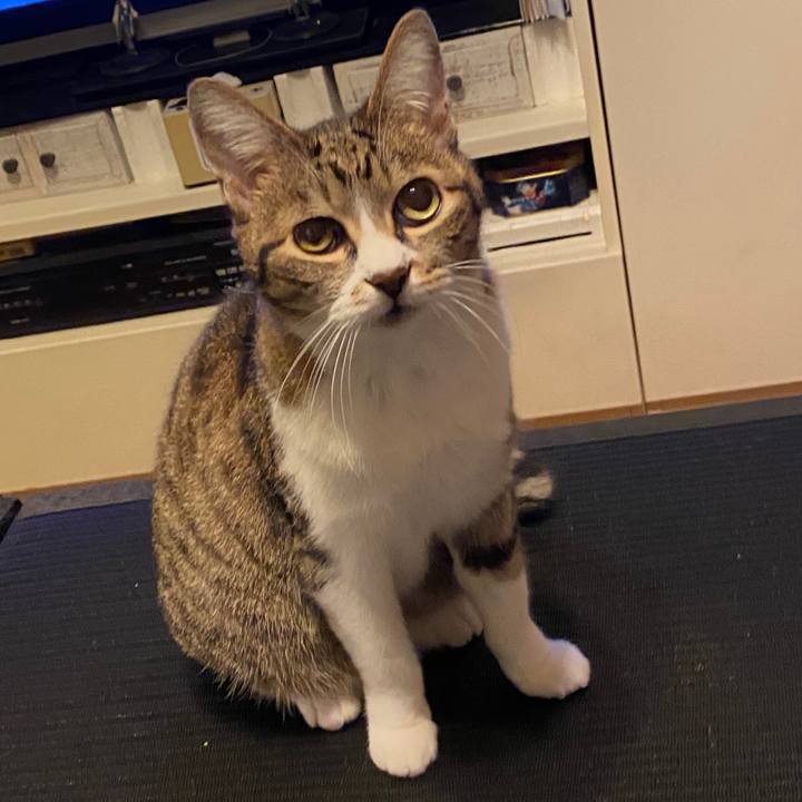 A7dc3476 3274 4f69 b74b a0cce55fcb91 1585751887382