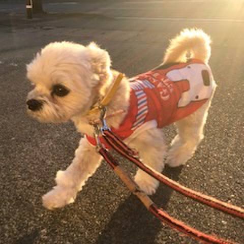 A7dc4c24 a1f0 41c4 a1eb de5e0f29c925 1512997677710