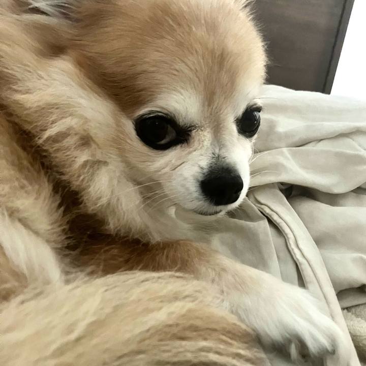 A7dc53d6 f233 4bed b8cf 9f5b8b40839a 1756950338926