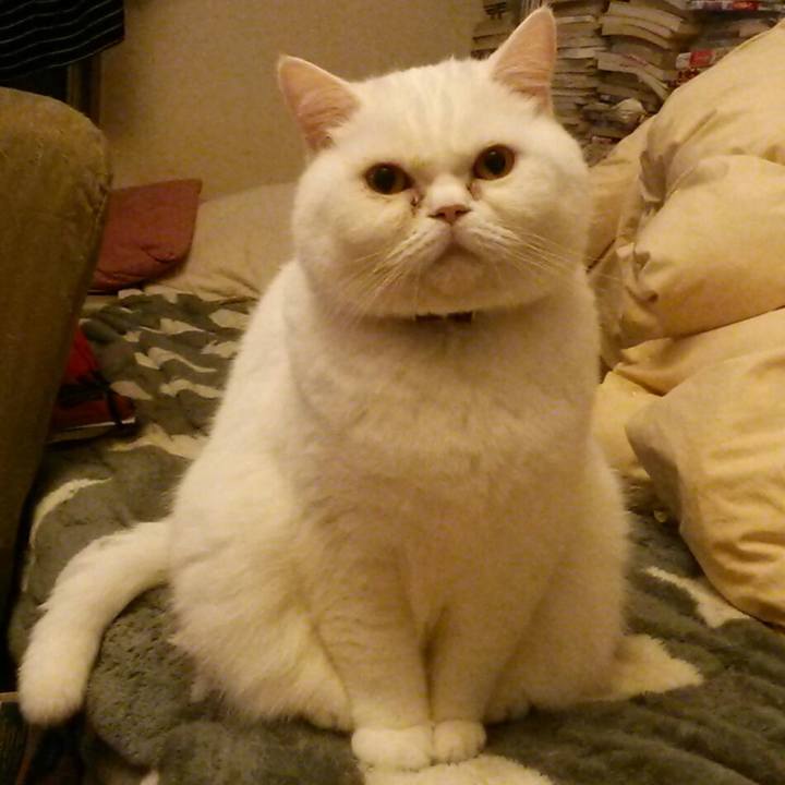 A7dc60fb 07e5 4682 96b3 163bfafe322c 1550010213218