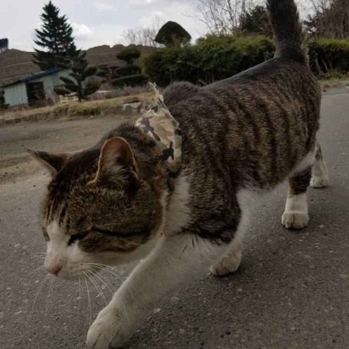 A7dc99c1 fb8c 4559 a0ff d34ad7a5385c 1587808803506