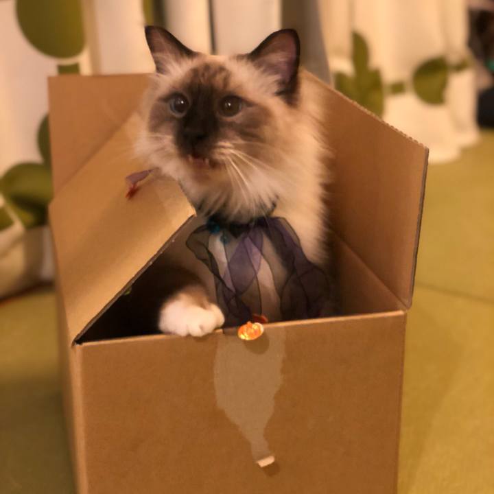 A7dca137 b523 4684 a5b5 d4e0a13ab6bd 1540966210017