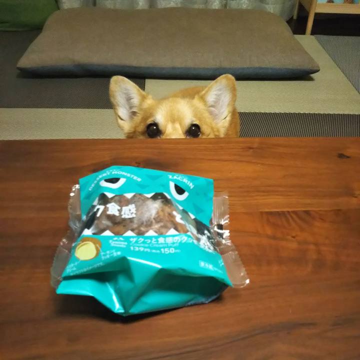 A7dcc108 7941 466a abfe 42cccf81cff0 1594720154428