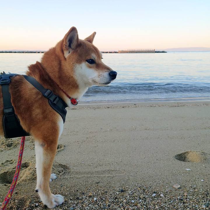 A7dcd92f b7cc 4338 b779 c1674e258742 1765102537921