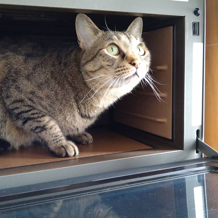 A7dcdd49 59ff 4d57 9abf ef3ccce44c36 1651807776058