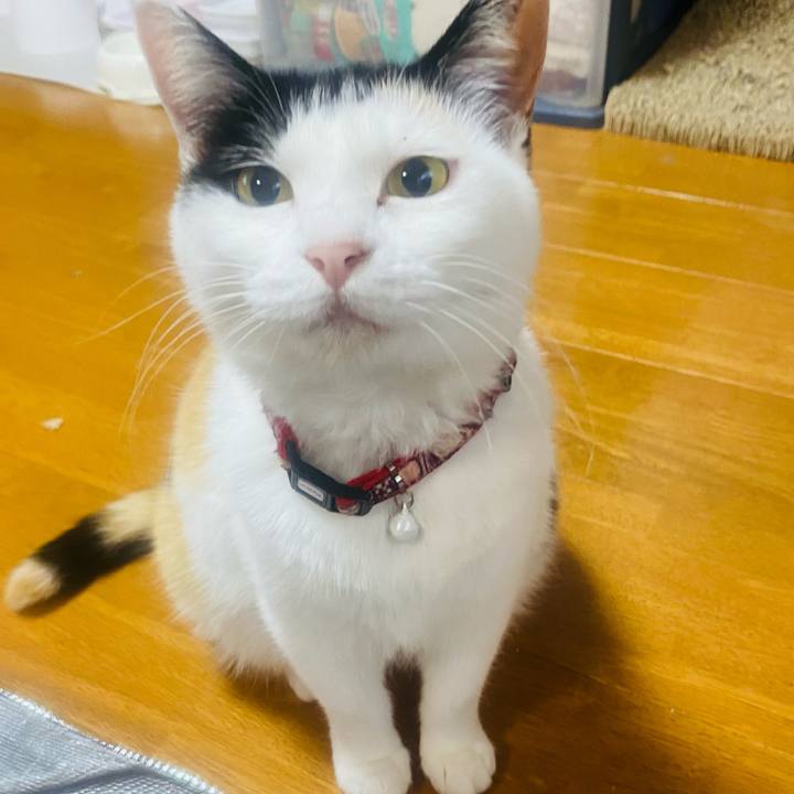 A7dcfac2 06bf 41a1 8c10 0d9be6b554a6 1653512315938