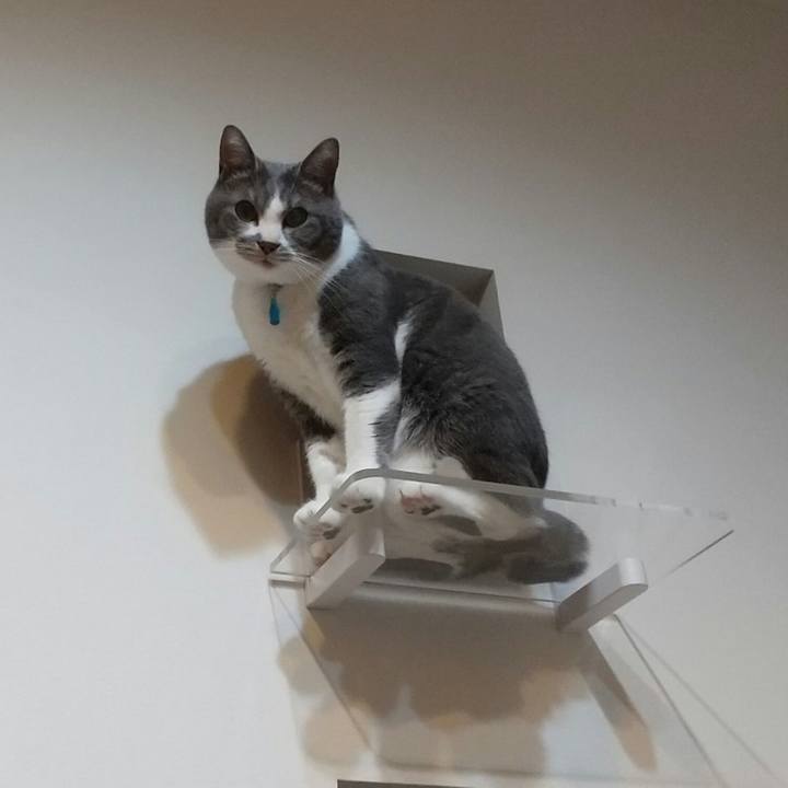 A7dd2365 dfc0 4692 93c6 f92e070ea651 1650286952375