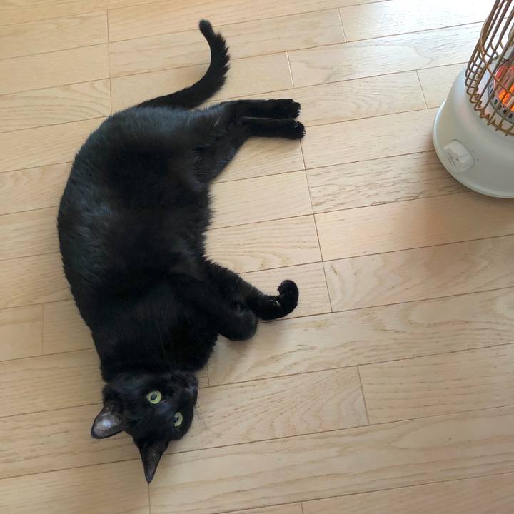 A7dd2b4d bf63 4e9f a034 3737434ba481 1575209181804