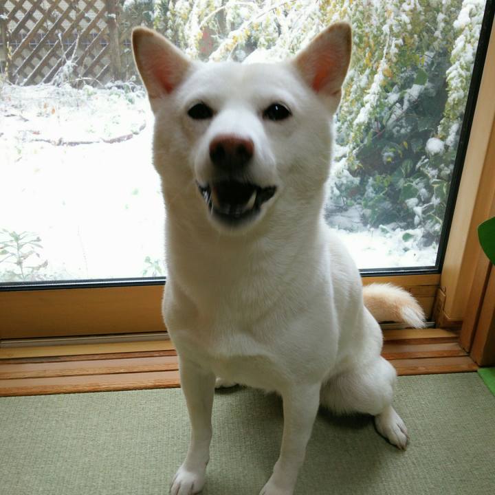 A7dd5875 77f3 4426 9262 816cfcb057ea 1544231715360