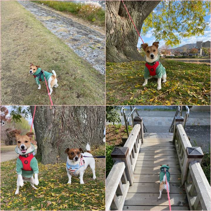 A7dd63f0 58bc 4285 be2d 4ef5b87d505c 1606050838459