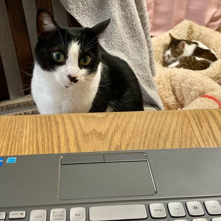 A7dd7899 c543 4957 b5c8 47bb6a001119 1617694809797