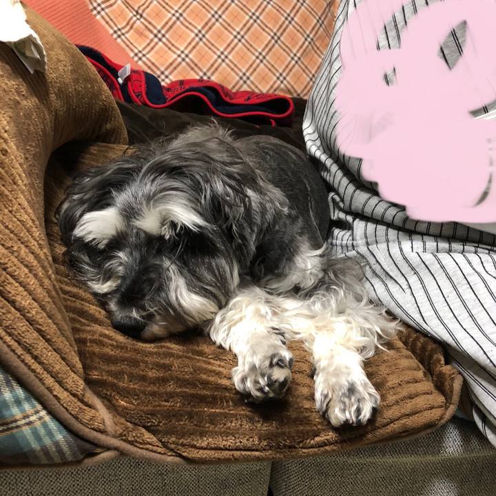 A7dd8338 d980 4bd6 9a4e 2e84f3598444 1620823379251