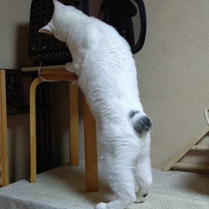 A7dd9890 fd2a 4c52 a8e9 08fd85c5b1c8 1655468193390