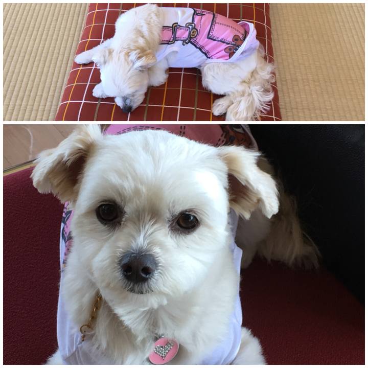 A7ddb141 d633 4b1e ba6f 3b99401a8b1e 1521805331697