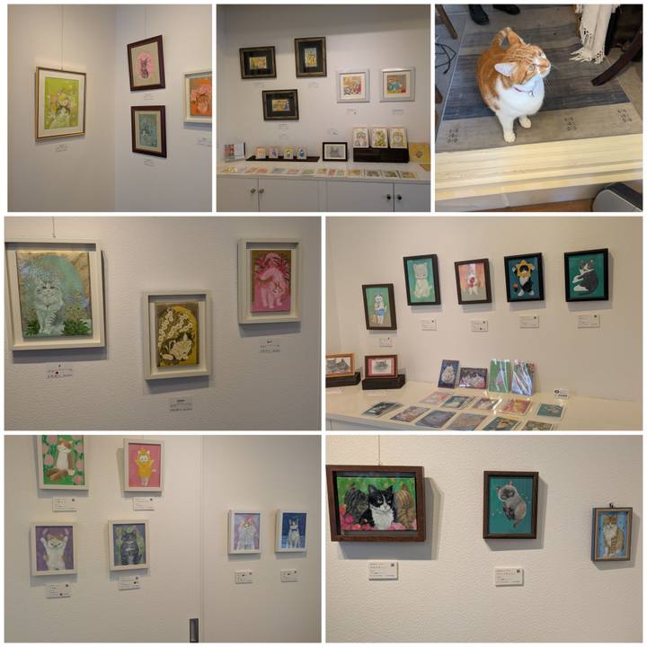 A7ddc036 39b6 4fcc a381 40cc26d0976c 1744459292968