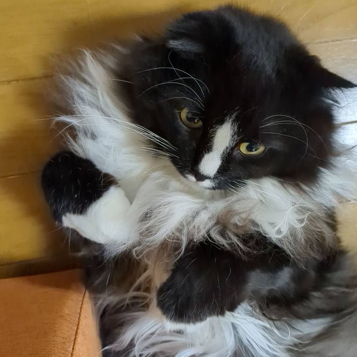 A7de185d bc50 4ed1 bd8f 99499a8b850c 1670932319993