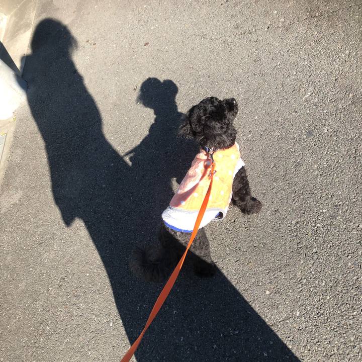 A7de6e1f 2835 460d 9738 dc353e4a3154 1547174620979