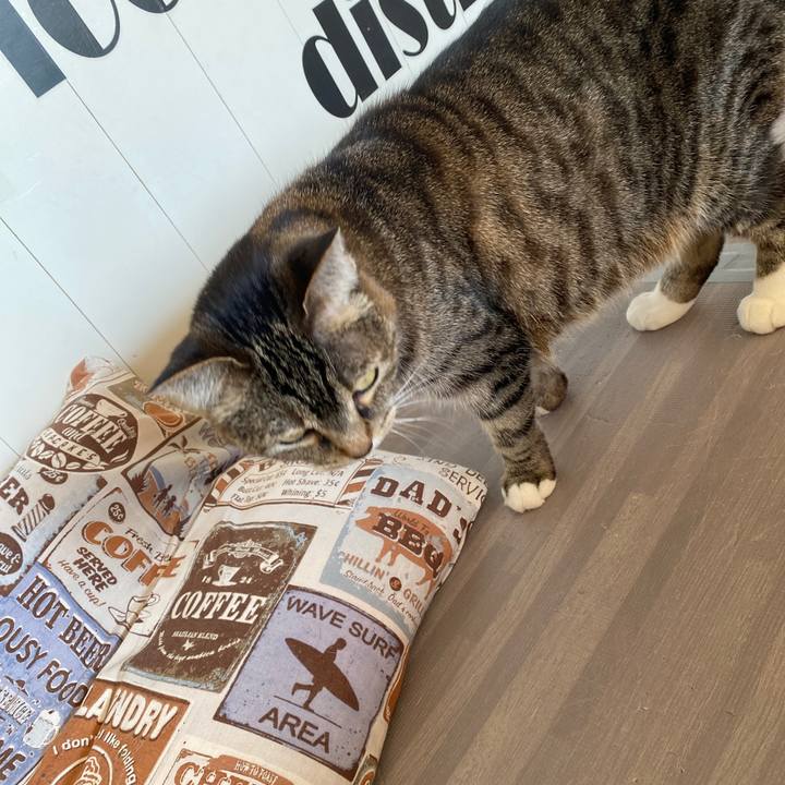 A7de7992 443d 42e8 88cd 7f34b8564d06 1644198873205