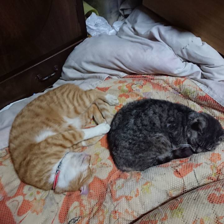 A7dec5d4 c445 4592 800e 2a938840aadb 1571835165272