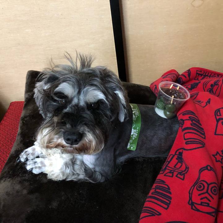 A7def09f dfef 427c 84bc 7bfa7cd17fdf 1560671059349