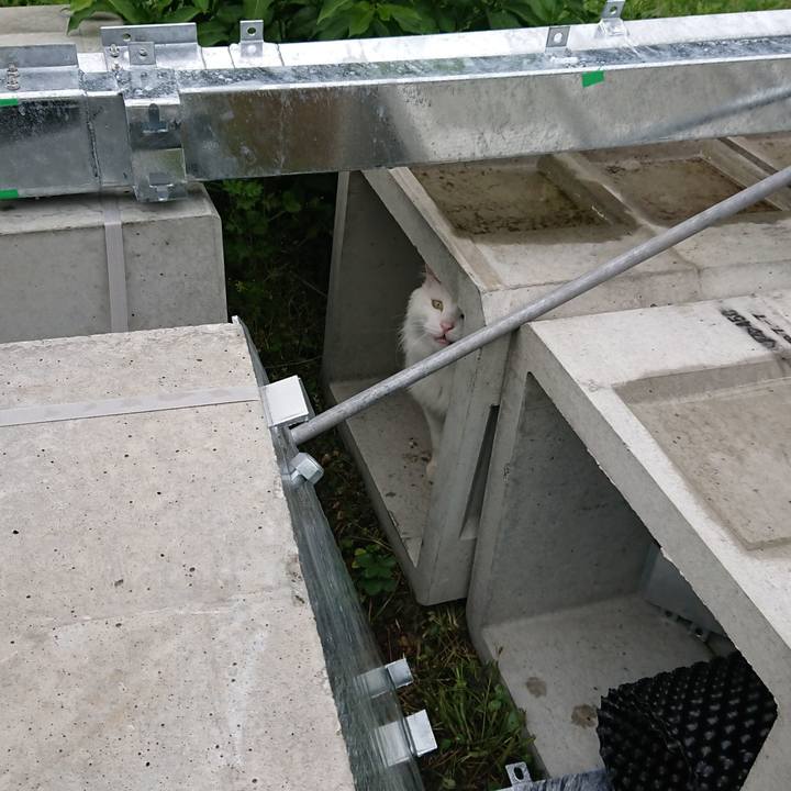 A7df34f9 1ffb 4eb3 9d74 4eeeef9927d6 1559687363481