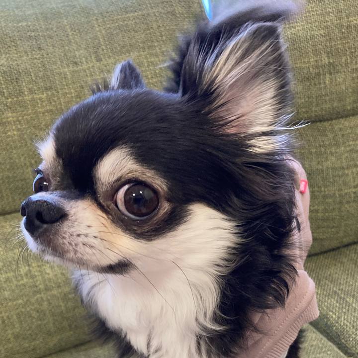 A7df4fea 20d7 471a 86a8 3709e9031f1d 1674919453032