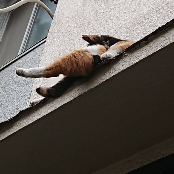 A7df5ad8 04e3 4b6d 826b 7529d8378d86 1655342453561