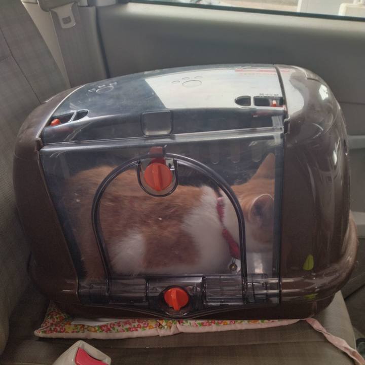 A7df62dd 7a4a 461e 81f0 537b563de294 1744097255978