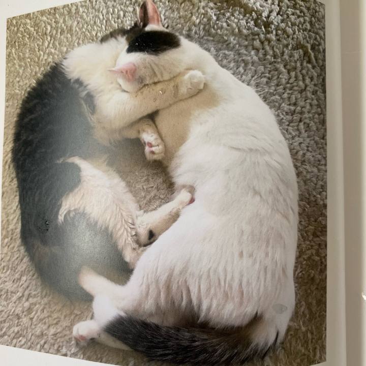 A7df70dd 43a1 41a4 94a7 909406168f18 1664145634775