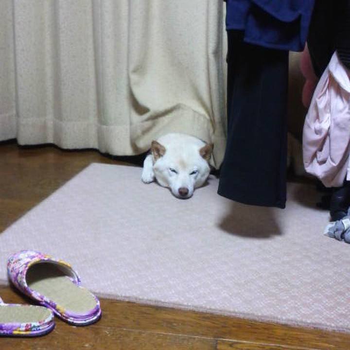 A7df8116 613d 4596 8e56 0612489e3b10 1656053837514