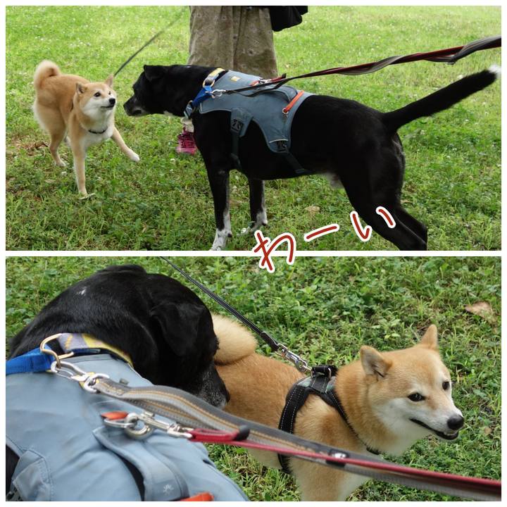 A7df8b02 a348 4315 b55f 38144d6d5dc9 1752621316406