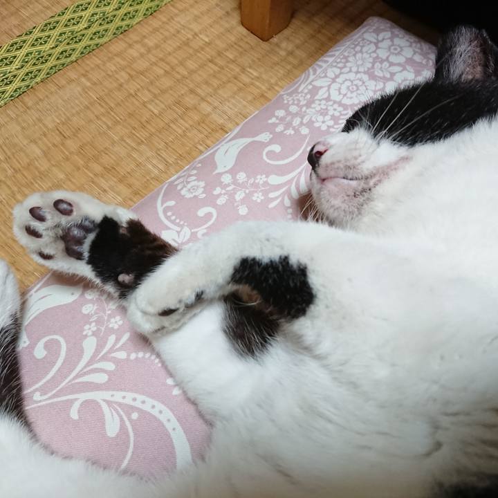 A7df9380 c3b4 487c bc32 f0d0c1a2ca17 1657962130940