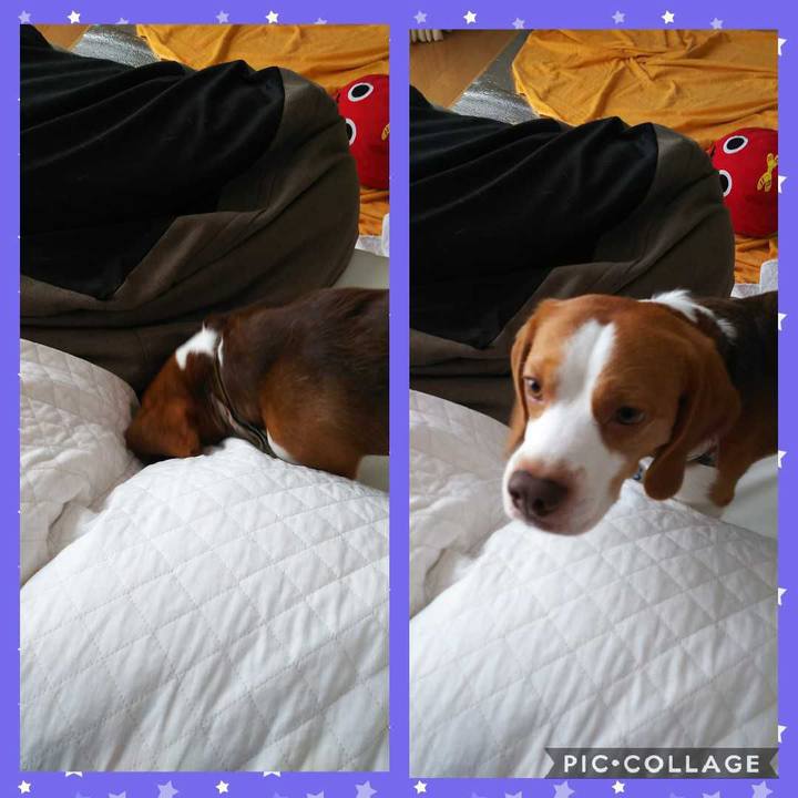 A7df9ccf 9af4 4a03 9bba e2e60b7dab16 1564805665097