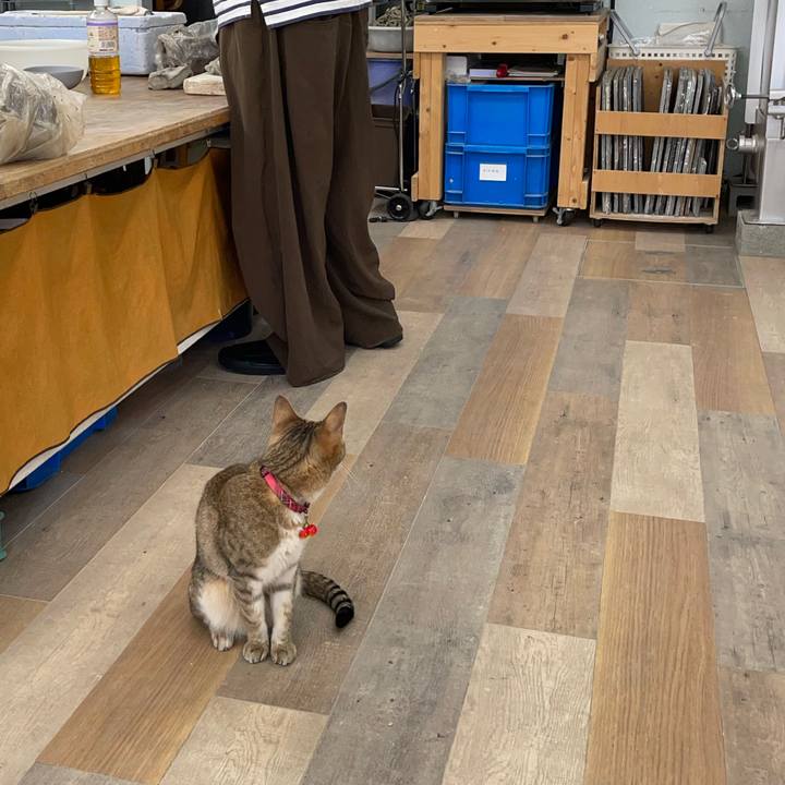 A7dff33e 06e2 4850 bea1 411af4f1c02c 1749974316994