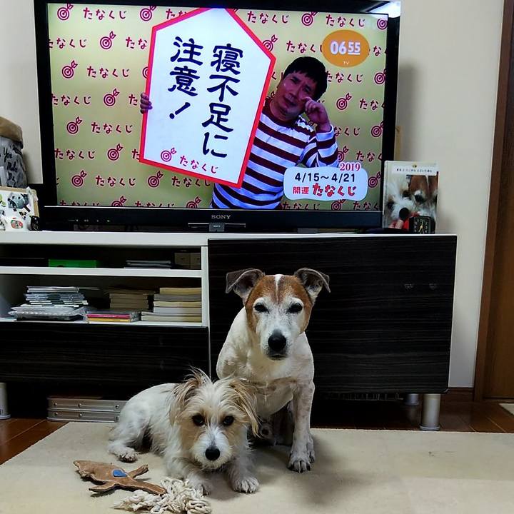 A7dffdd0 1c76 4437 a309 7afaaa71a89f 1555280507847