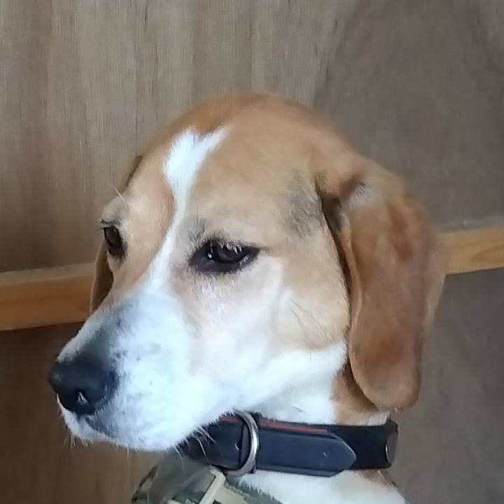 A7e00add 6cbb 4c1c b747 94f10f81b048 1687098602508