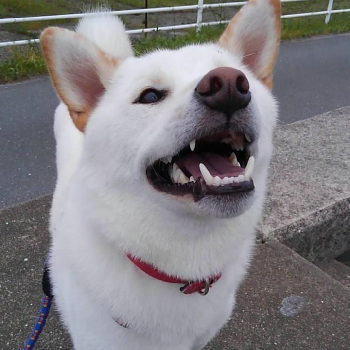 A7e02c90 bf5f 40c6 a5df 09b5156bcbb3 1564812550259