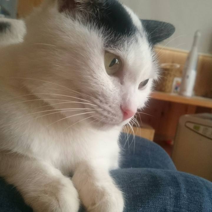 A7e04ef5 a006 4f1a 8ed1 48f17d8e641f 1520058179229