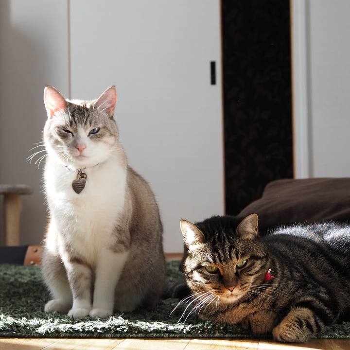 A7e073b4 035a 44f9 8560 2c2dff608332 1607851291561