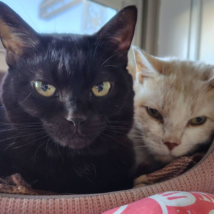 A7e0b889 c031 43d4 b9ce d364c996d880 1767224540308