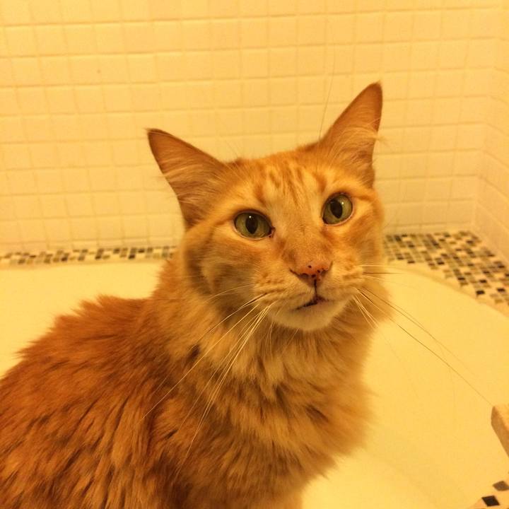 A7e0bab3 697b 49f7 a9f3 da36a2c3d877 1515515210257