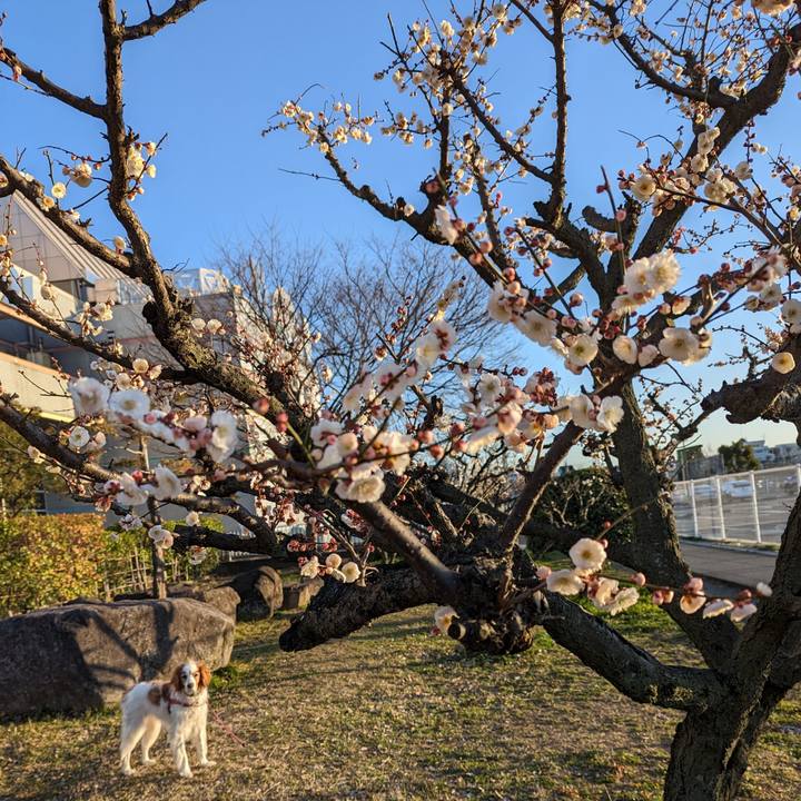 A7e0bf58 cd27 409f ad1d c9f9e3a7c48b 1677584051402