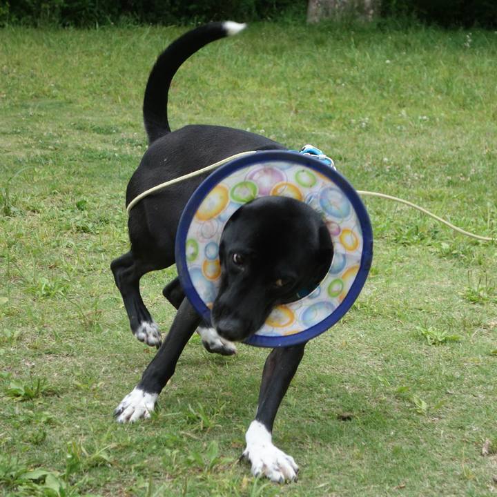 A7e0da5a c1b8 47ac a825 1be2954a9b7d 1620692412971