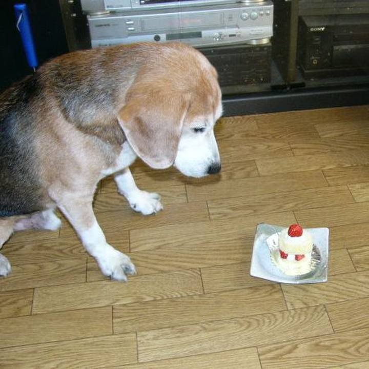 A7e0f20a a25d 49ce 84e9 0f76fd36ad36 1644196422808