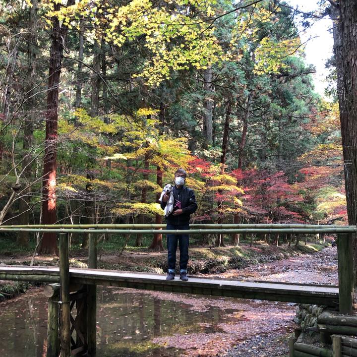 A7e11146 ee69 44c2 814b a341d8a2d90b 1606572033532